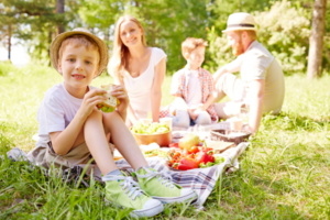pack a plastic free picnic and enjoy the local free entertainment, parks and cycle trails on offer in your local council