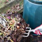 Putting food scraps into the compost bin with a garden fork
