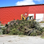 A large pile of greenwaste in front of a red shed at the Recycling Centre